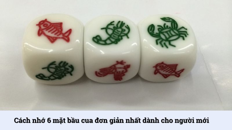 Cách nhớ 6 mặt bầu cua đơn giản nhất dành cho người mới