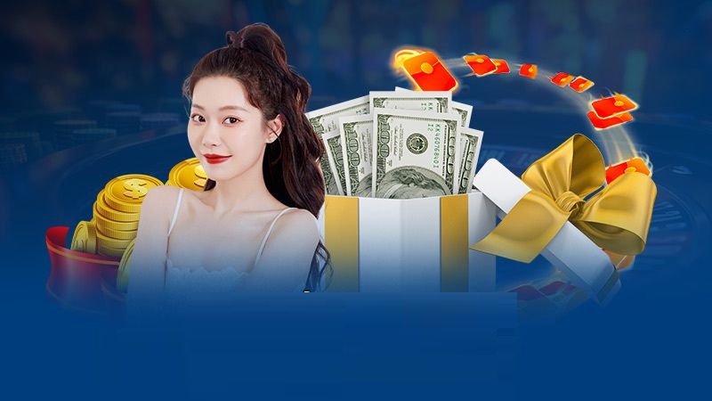 Đại lý Vibet nhận hỗ trợ tận tâm