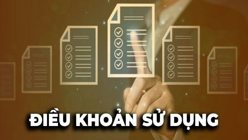 Điều khoản và điều kiện Vibet về quyền hạn, trách nhiệm của nhà cái