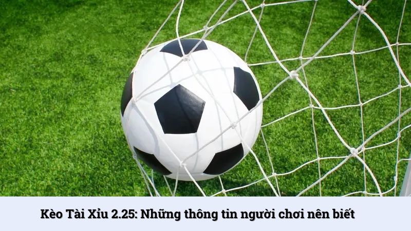 Kèo Tài Xỉu 2.25: Những thông tin người chơi nên biết