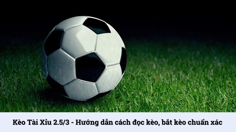 Kèo Tài Xỉu 2.5/3 - Hướng dẫn cách đọc kèo, bắt kèo chuẩn xác