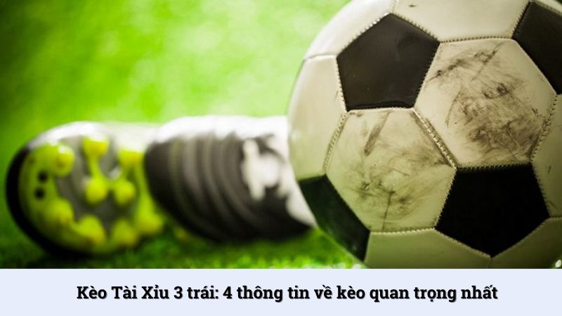 Kèo Tài Xỉu 3 trái: 4 thông tin về kèo quan trọng nhất