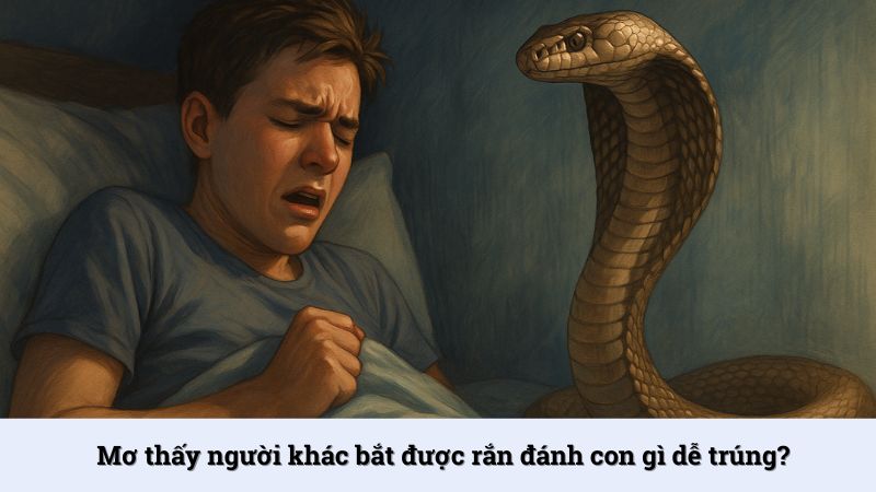 Mơ thấy người khác bắt được rắn đánh con gì dễ trúng?
