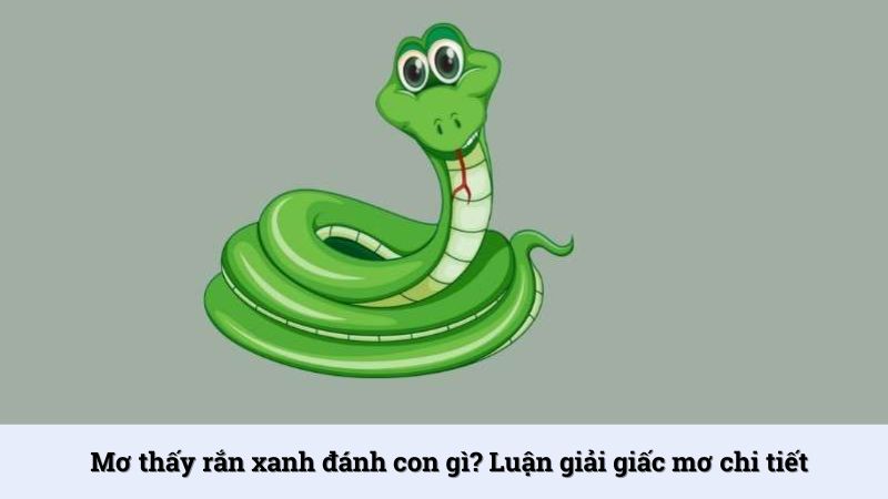 Mơ thấy rắn xanh đánh con gì? Luận giải giấc mơ chi tiết