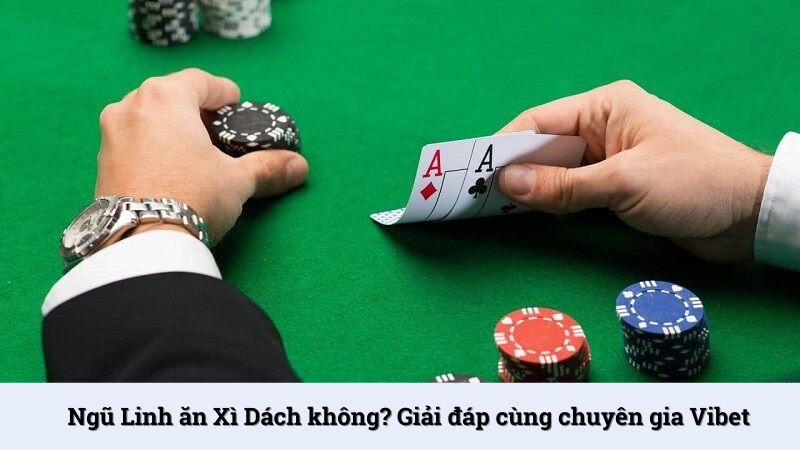 Ngũ Linh ăn Xì Dách không? Giải đáp cùng chuyên gia Vibet