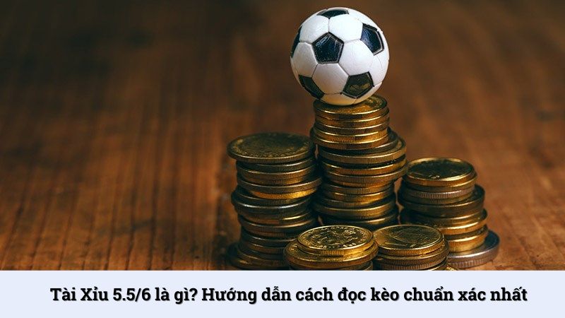 Tài Xỉu 5.5/6 là gì? Hướng dẫn cách đọc kèo chuẩn xác nhất