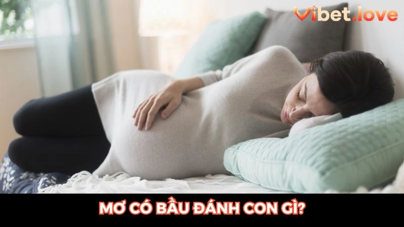 Chốt con đề may mắn từ giấc mộng có bầu