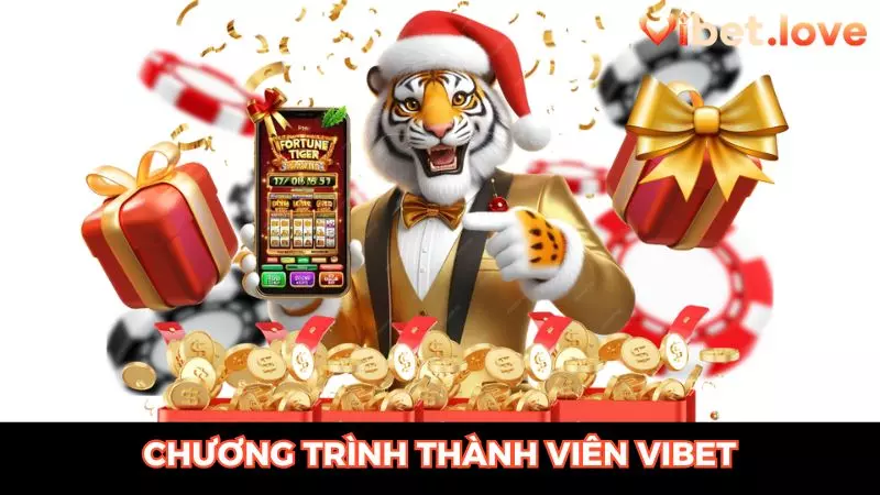 chương trình thành viên vibet