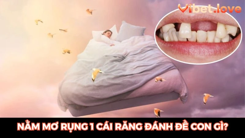 nằm mơ rụng 1 cái răng đánh de con gì