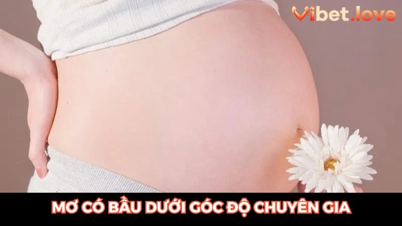 Nằm mơ thấy có bầu dưới góc nhìn của chuyên gia